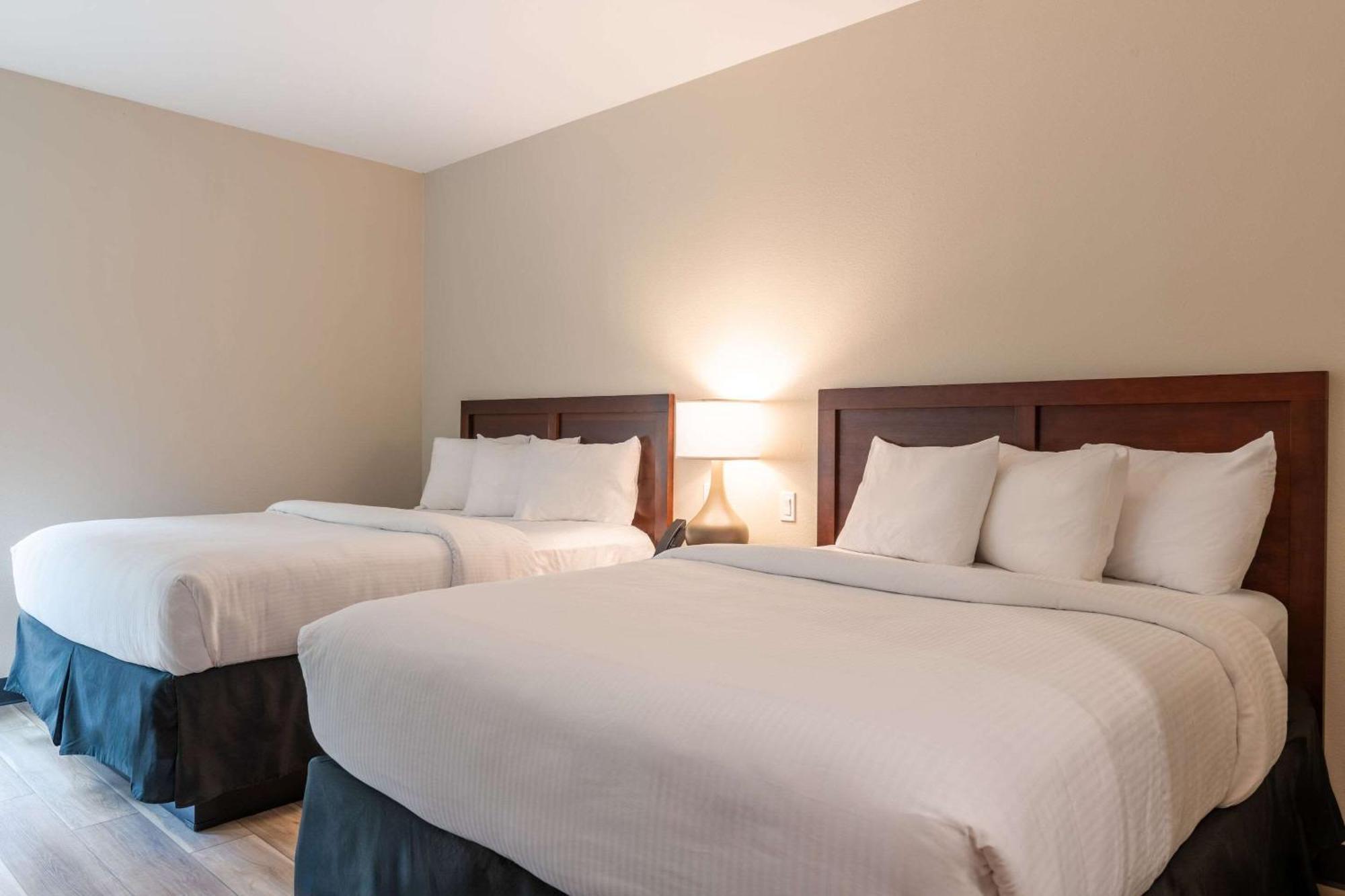 The Chandler At White Mountains, An Ascend Hotel Collection Membe بيثليهيم المظهر الخارجي الصورة