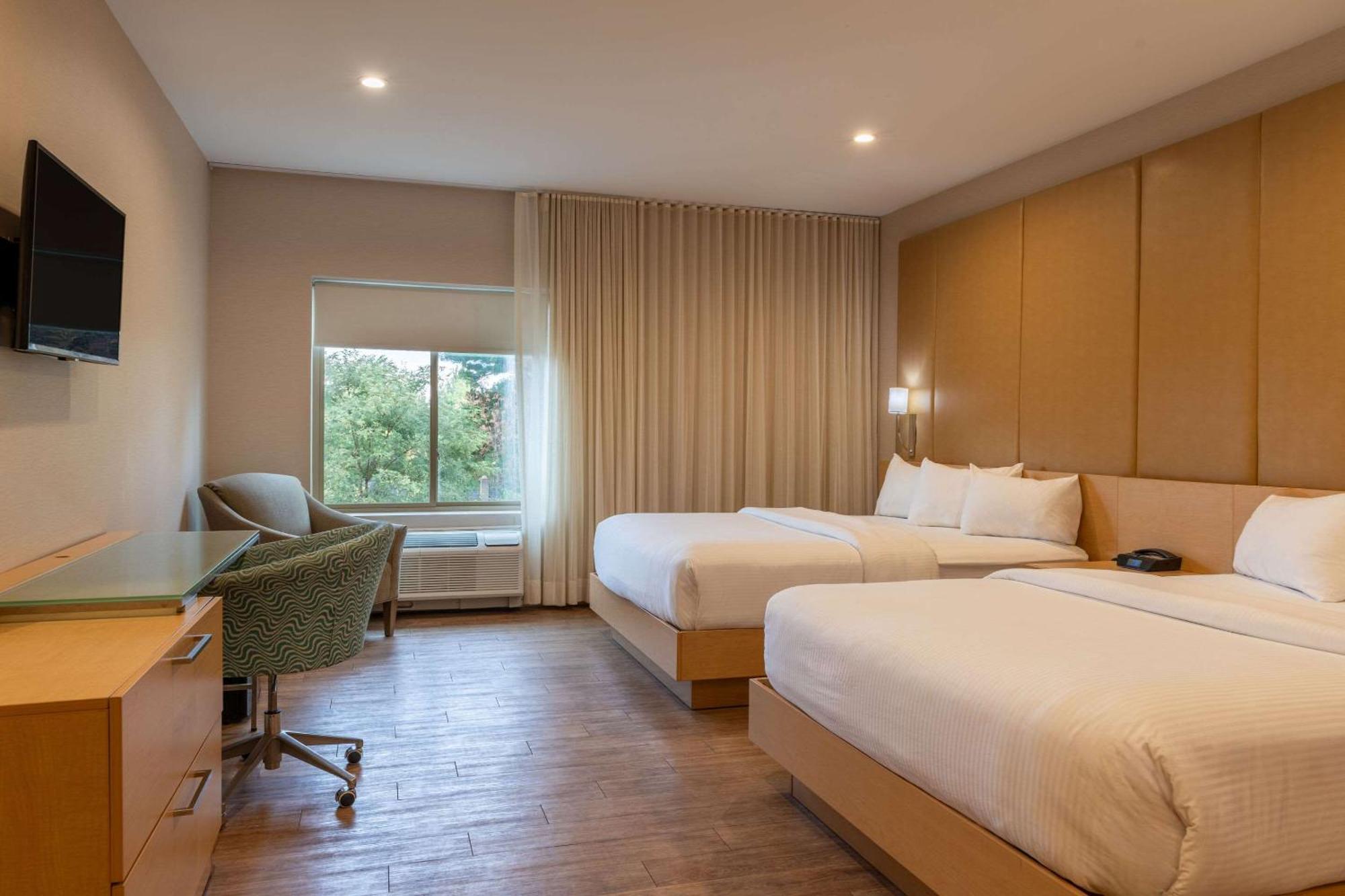 The Chandler At White Mountains, An Ascend Hotel Collection Membe بيثليهيم المظهر الخارجي الصورة